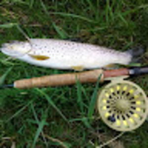 Meet your Posher, Marc